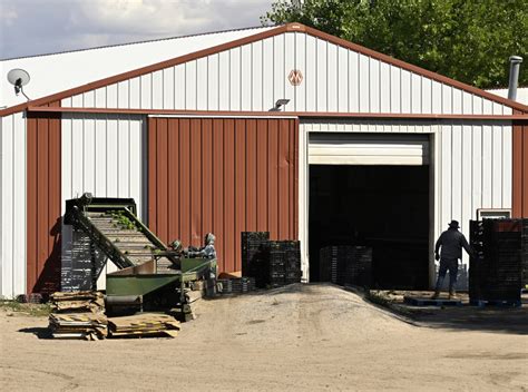 This Colorado farm has repeatedly violated federal labor laws. Why does the U.S. continue to grant it foreign workers?